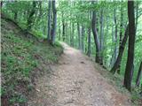 Grmada ( 718m ) - Strma pot - Hudičev graben- Pečovnik Široka in lagodna pot do koče